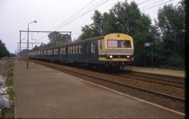 Sinaai - TH 87-4472.jpg